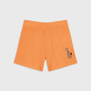 Set Zebra Fete Orange - imagine 4