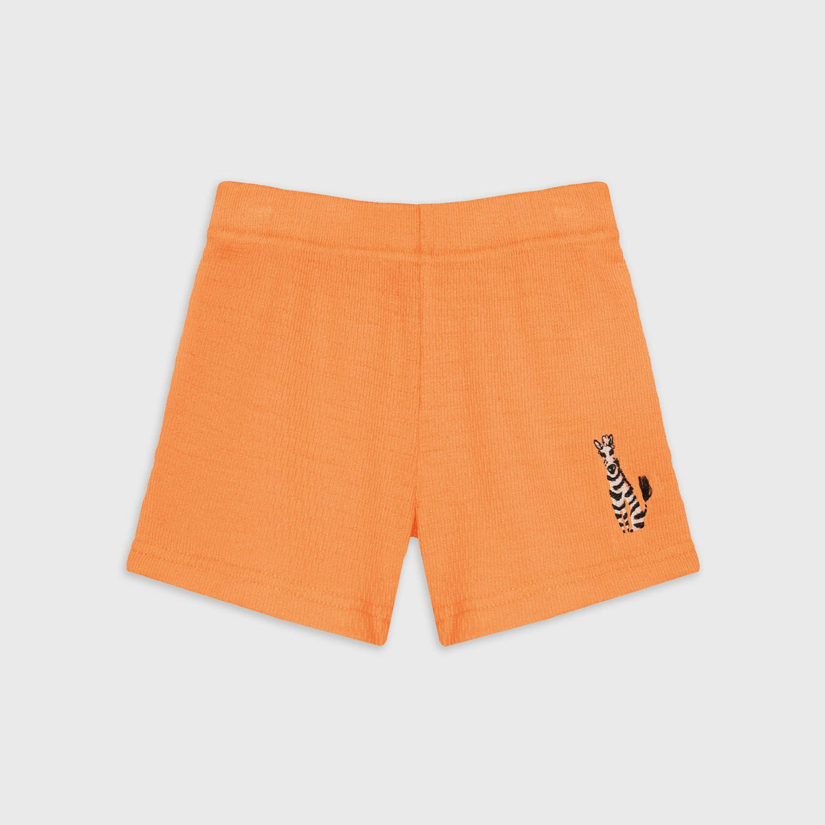 Set Zebra Fete Orange - imagine 4