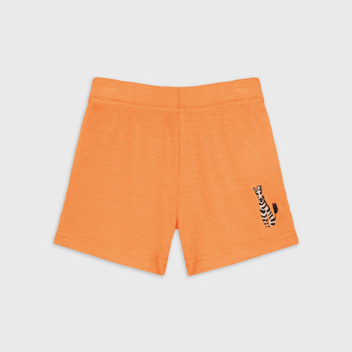 Set Zebra Fete Orange - imagine 4