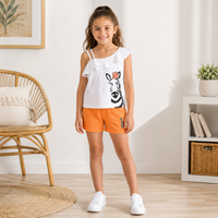 Set Zebra Fete Orange
